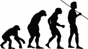 Evolutietheorie