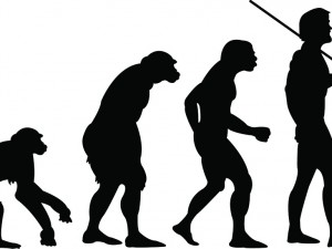Evolutietheorie